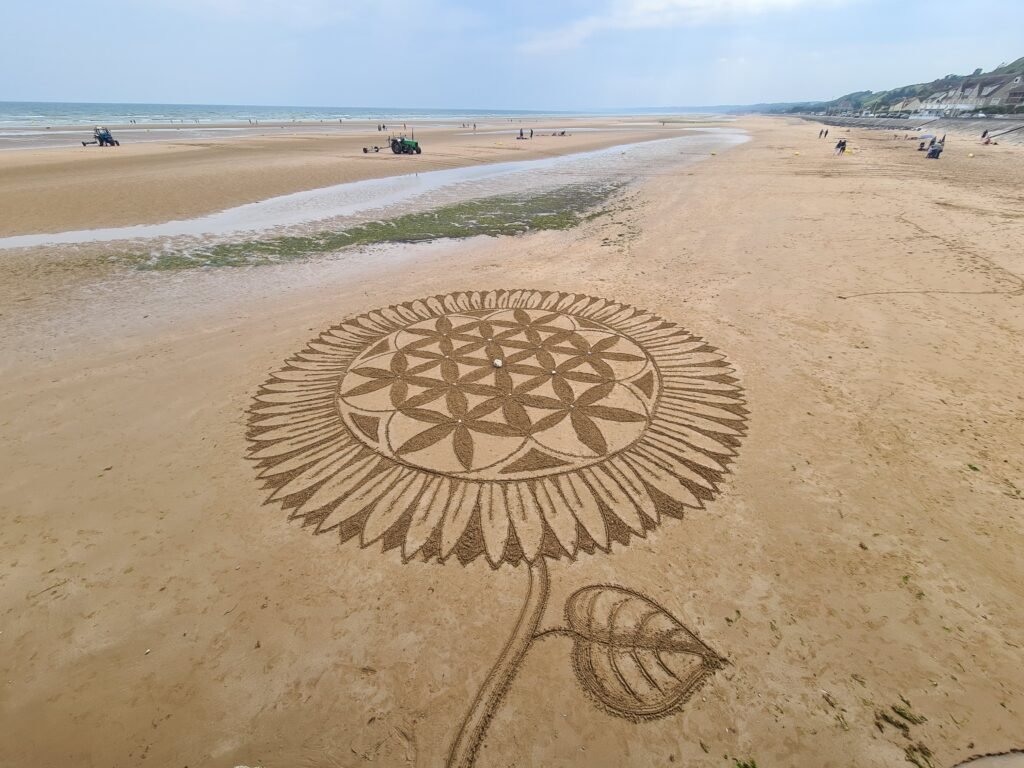 Atelier bien être fleur