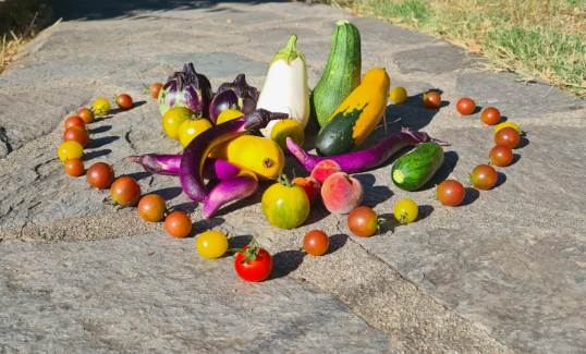 land art en fruit